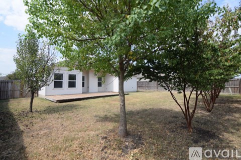 A tree in a yard with a white house in the background.