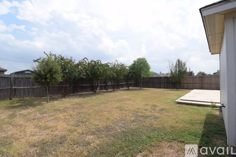 A backyard with a wooden fence and a shed.