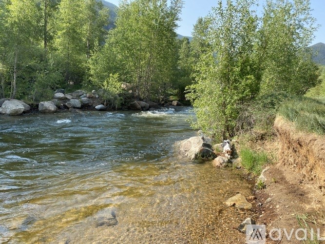 A river flows through a rocky landscape with trees on the banks.