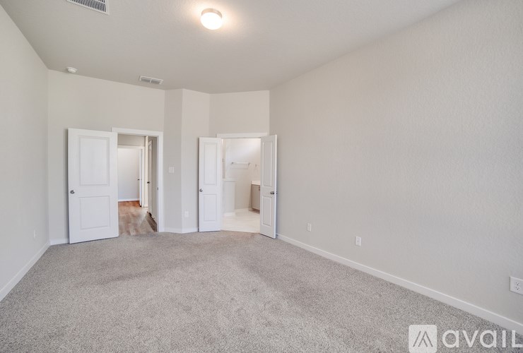 A dog is standing in a room with a carpet floor and white walls.