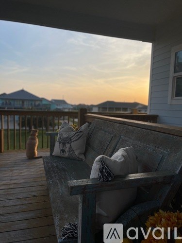 A cat is sitting on a wooden deck with a couch and a dog is in the background.