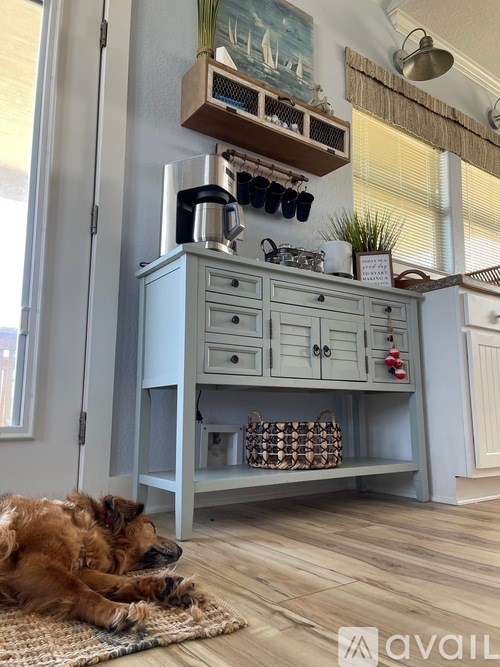 A dog is sleeping on a rug in front of a kitchen cabinet.