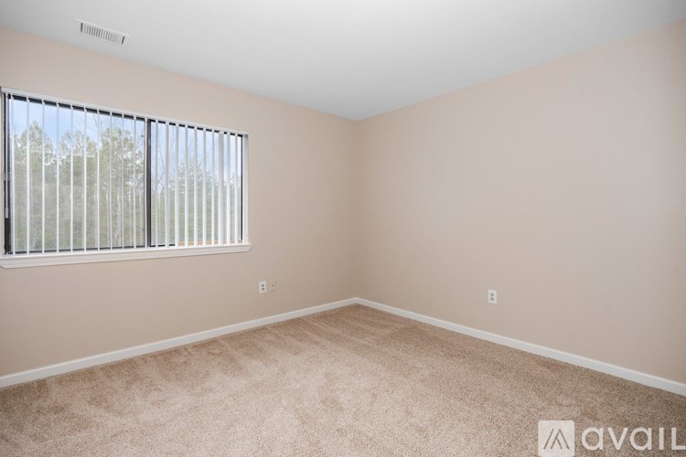 A room with beige carpet and a window with blinds.