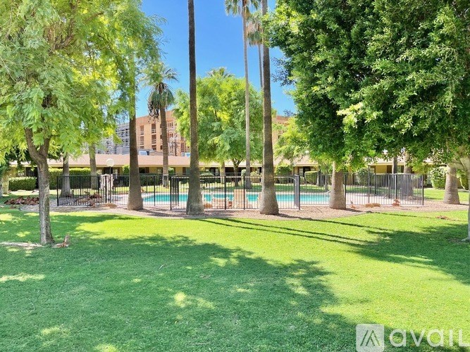 A grassy area with trees and a pool in the distance.