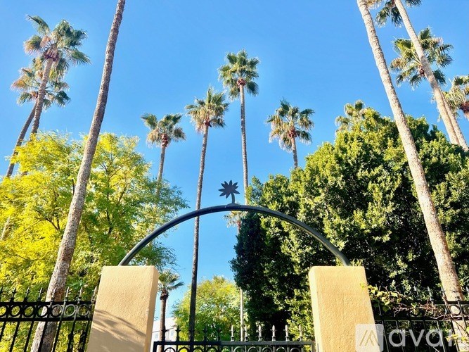 A metal gate with a decorative arch and two stone pillars in front of a row of palm trees.