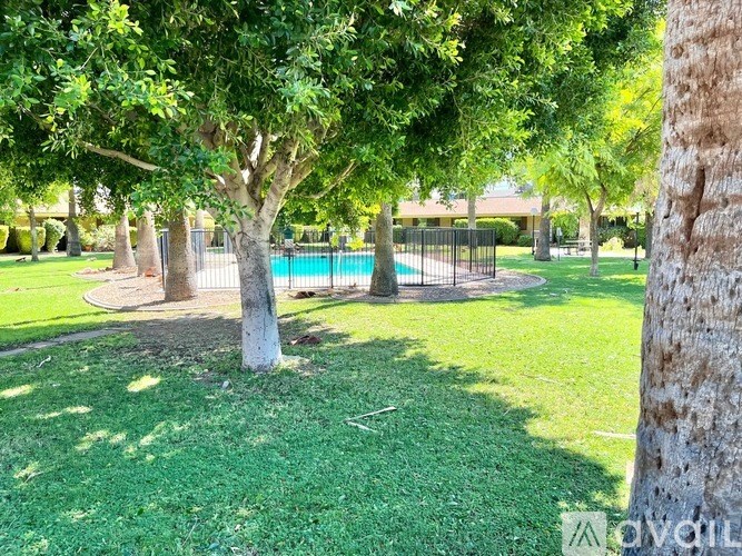 A tree in a grassy area with a pool in the background.