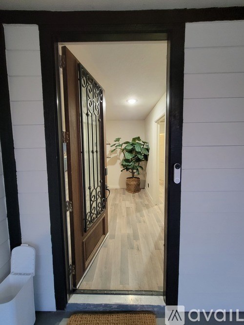 A doorway with a plant on the other side.