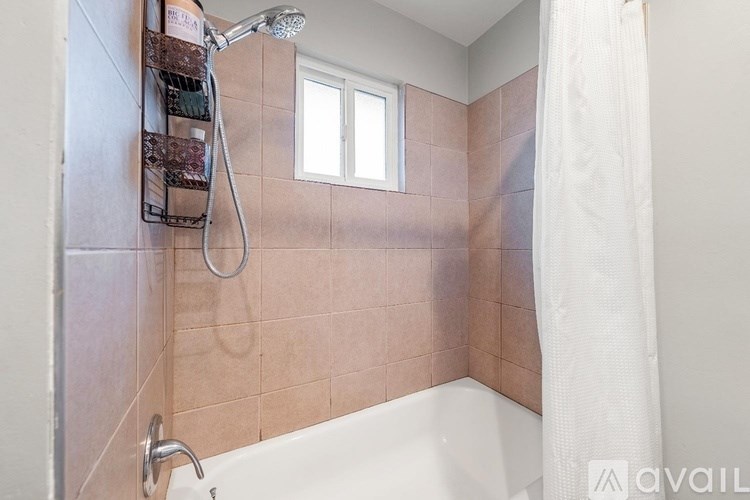 A bathroom with a shower, tub, and a window.