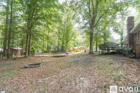 A backyard with a playground and trees.