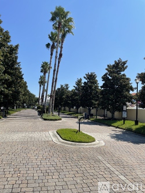 A paved walkway with a grassy area and tall trees on the side.