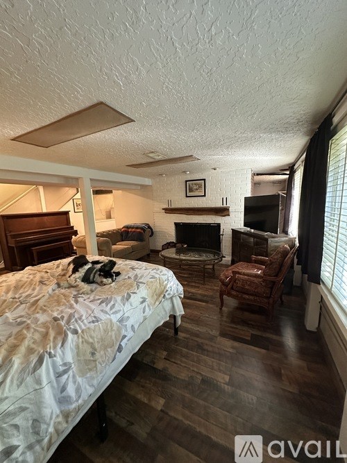A dog is lying on a bed in a room with a fireplace.