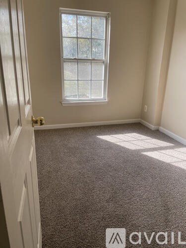 A room with a carpeted floor and a window letting in sunlight.