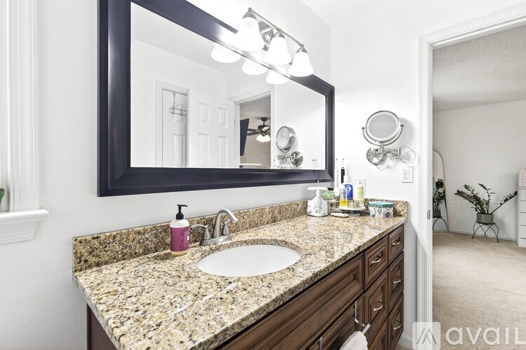 A bathroom with a sink, mirror, and a potted plant.