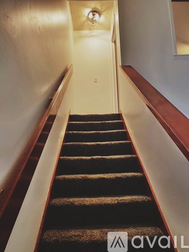 A staircase with a carpeted runner and wooden handrails.