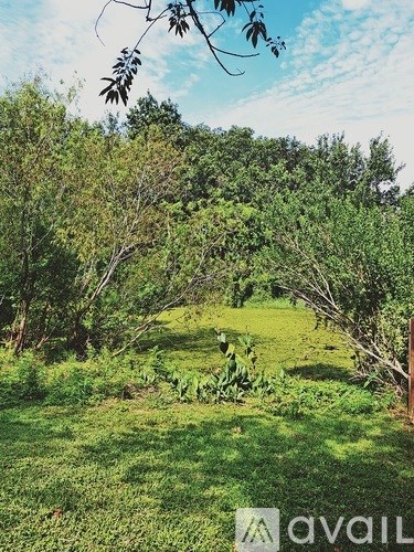 A lush green garden with trees and grass.