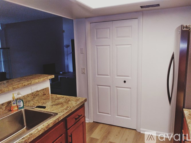 A kitchen with a sink and a white door.
