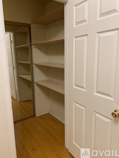 A white door with a gold handle is open to a room with empty shelves.