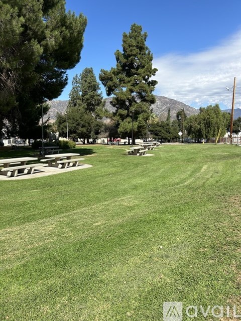 A grassy field with picnic tables and trees in the background.