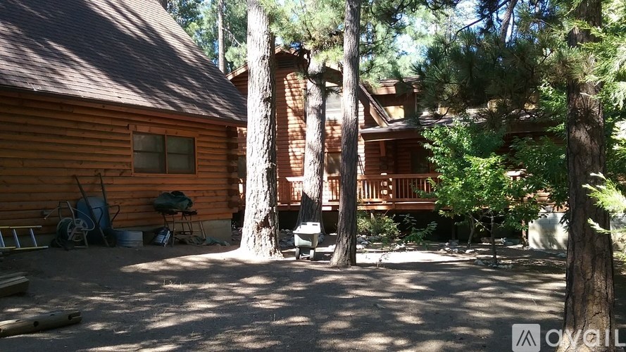 A wooden cabin with a porch and a tree in front.