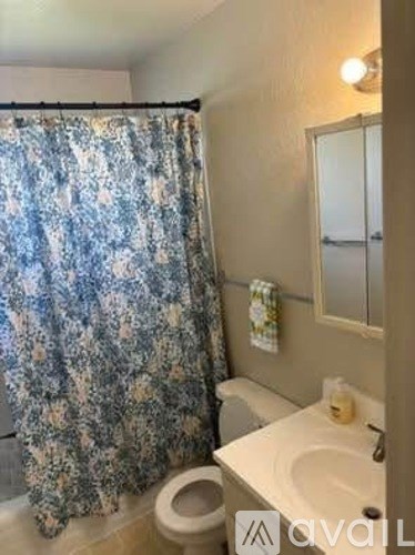 A bathroom with a floral shower curtain and a toilet.