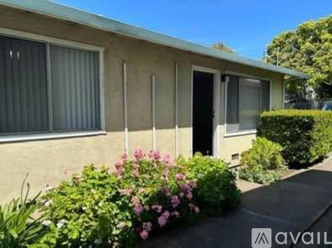 A beige house with a black door and windows surrounded by greenery and flowers.