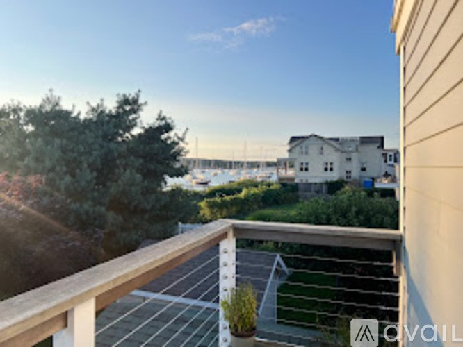 A balcony with a potted plant on it.
