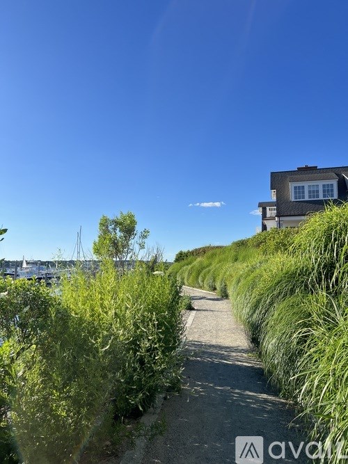 A clear blue sky meets a pathway lined with greenery and a building in the distance.