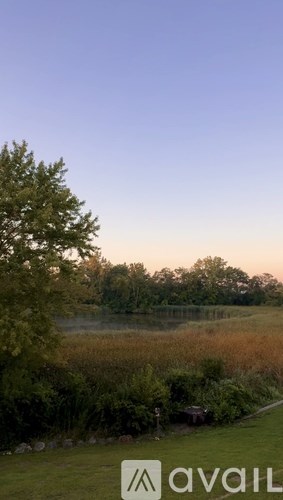 A landscape with a tree and a body of water.