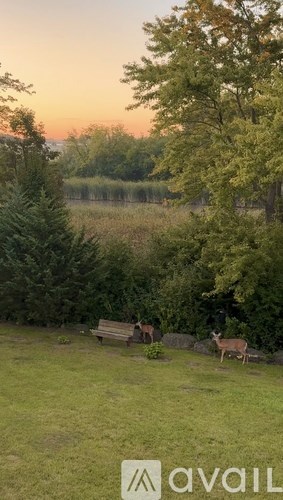 A bench is situated in a grassy area with trees and a deer nearby.