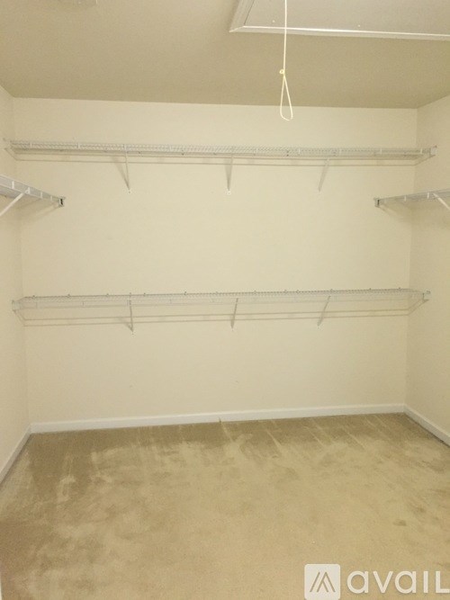 Empty room with white walls and beige carpet.