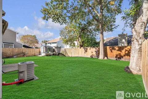 A backyard with a green lawn and a tree.