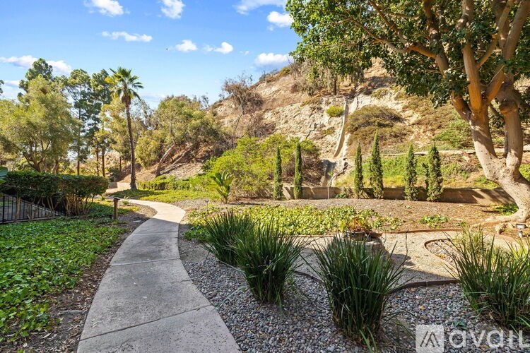 A garden with a gravel path and a variety of plants.