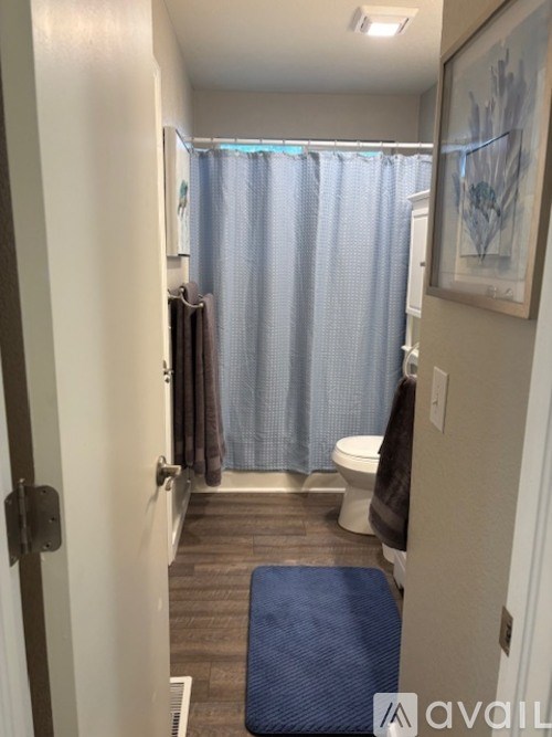 A bathroom with a toilet, a shower curtain, a towel, and a picture on the wall.