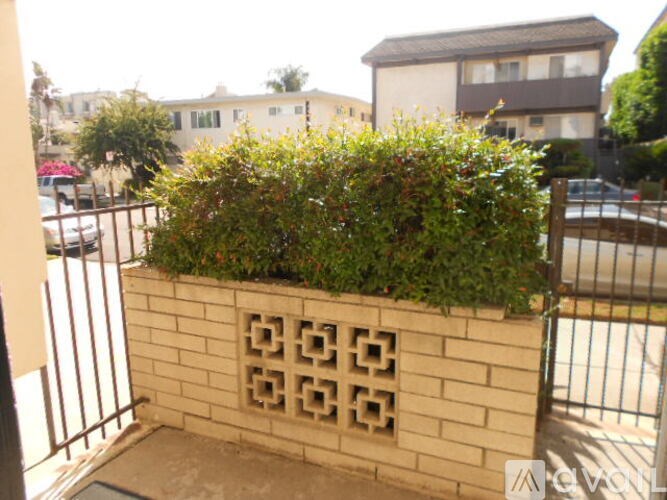 A small green plant is growing out of a brick planter.