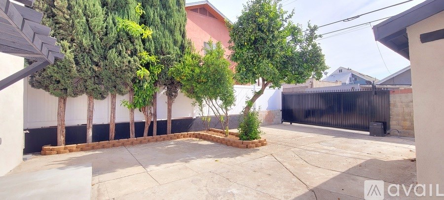 A backyard with a black fence and a tree in the center.