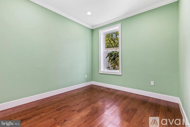A room with a green wall and a window with a picture of a tree outside.