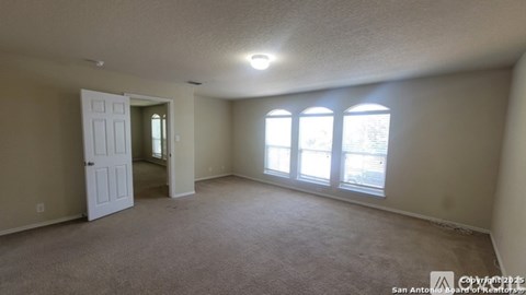 A room with a carpeted floor, a door, and a window with a view of the outside.