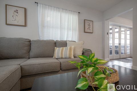 A living room with a grey couch and a plant on the coffee table.