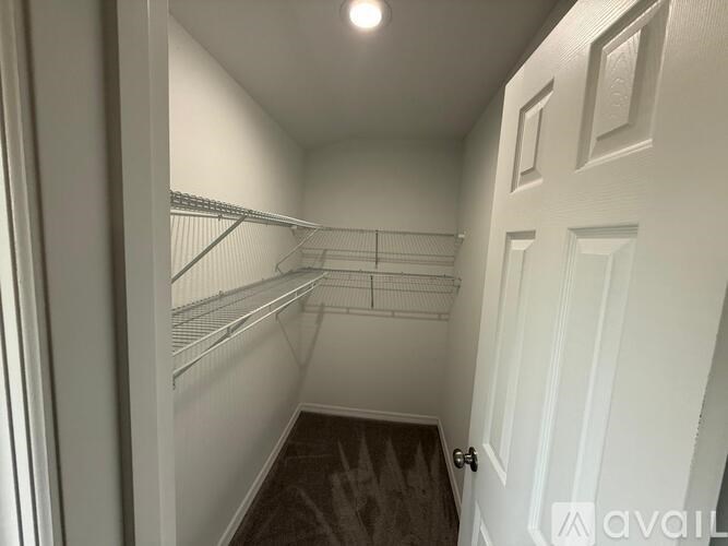 A white closet with a door and a carpeted floor.