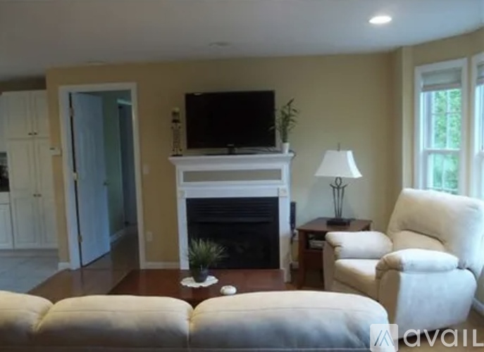 A living room with a fireplace and a television.