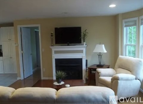 A living room with a fireplace and a television.