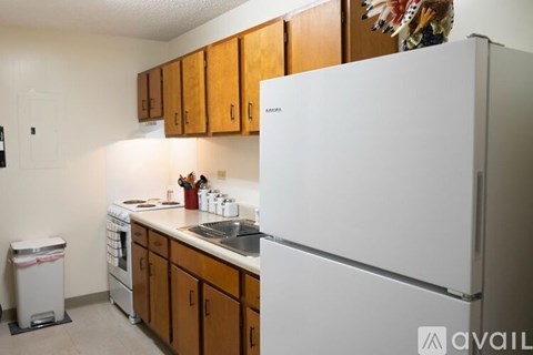 A kitchen with a white fridge, wooden cabinets and a white trash can.