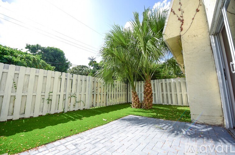 A pine tree is in the backyard.