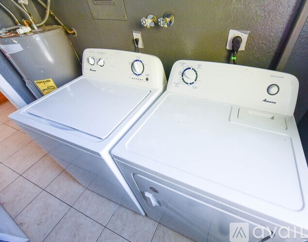 A palm tree-lined pathway leads to a yellow house.