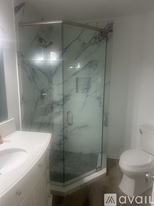 A bathroom with a marble shower and toilet.