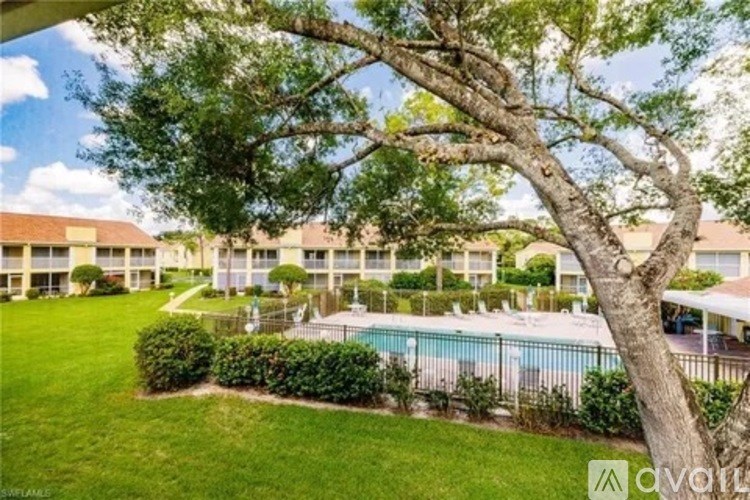 A tree in the foreground with a swimming pool and apartment buildings in the background.