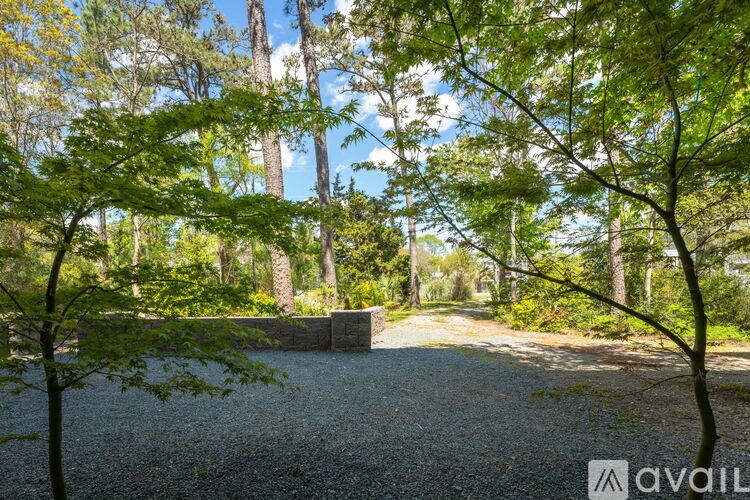 A gravel path leads through a wooded area.