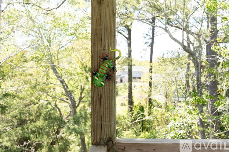A green chameleon is perched on a wooden post.