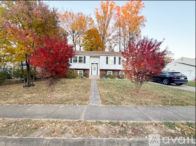 A white house with a red tree in front.