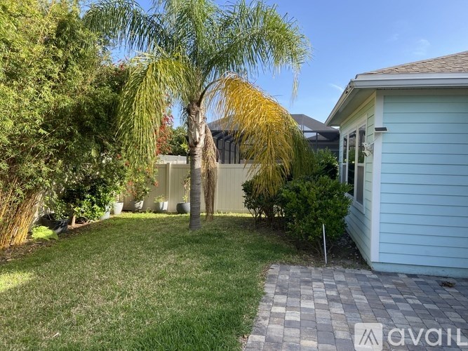 A backyard with a palm tree and a house.